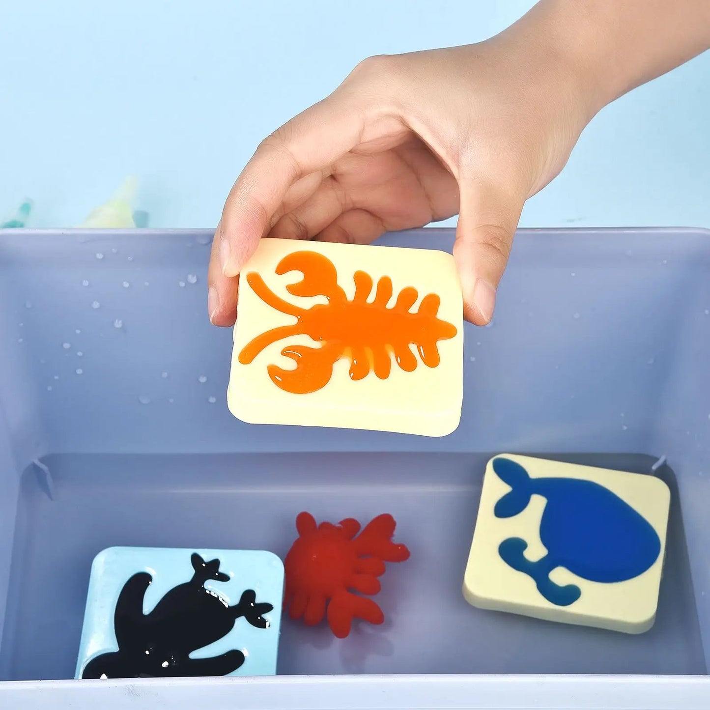 Water Jelly Creative Set – Fun & Educational Toy for Kids