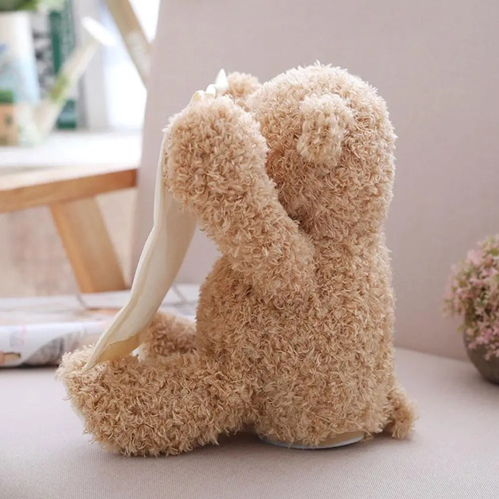 Peek-A-Boo Teddy – Interactive Plush for Baby Development