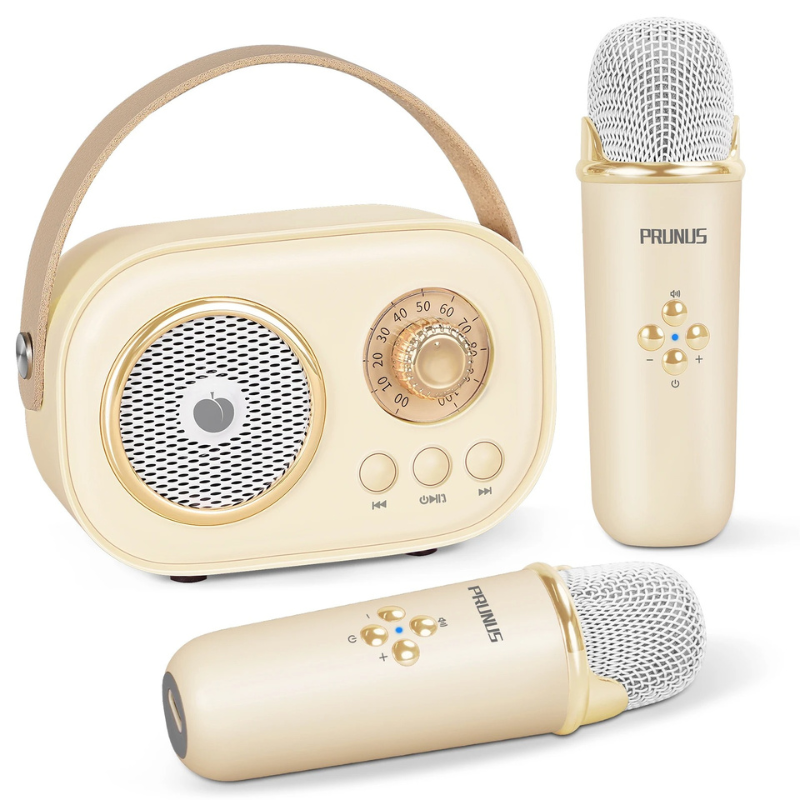 Portable Karaoke Machine for Kids and Families with Dual Microphones and Bluetooth