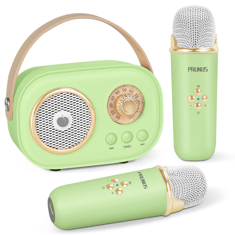 Portable Karaoke Machine for Kids and Families with Dual Microphones and Bluetooth