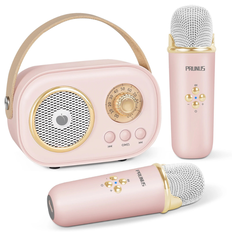 Portable Karaoke Machine for Kids and Families with Dual Microphones and Bluetooth