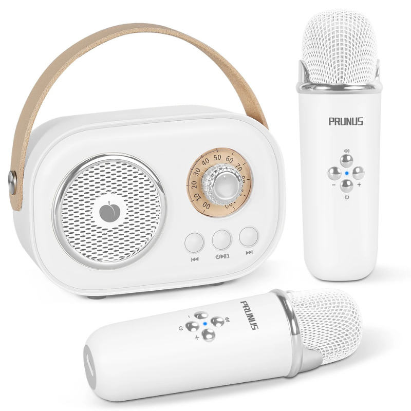 Portable Karaoke Machine for Kids and Families with Dual Microphones and Bluetooth
