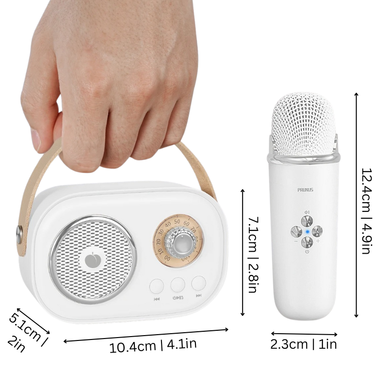 Portable Karaoke Machine for Kids and Families with Dual Microphones and Bluetooth